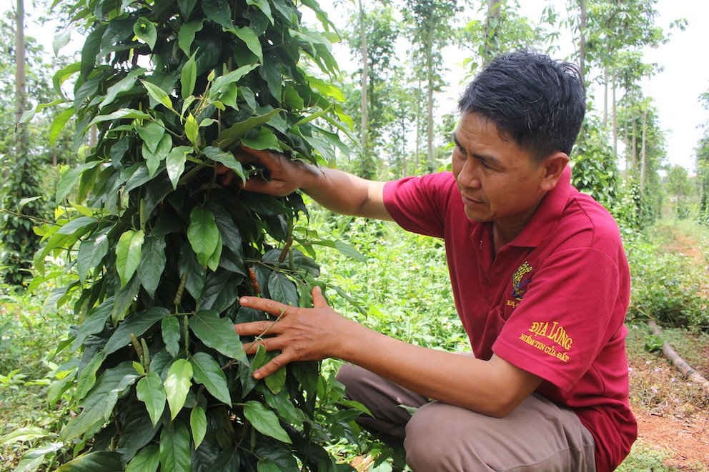  Người dân phát triển tiêu Lốt hậu quả khó lường. 