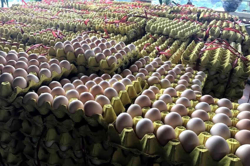 Gần 60 ngàn quả trứng gà Trung quốc nhập lậu vào Việt Nam bị bắt giữ.   Ảnh Cục Hải quan tỉnh Lào Cai
