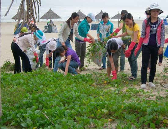 Đoàn viên, thanh niên TP. Đà Nẵng tham gia vệ sinh môi trường, làm sạch bãi biển.