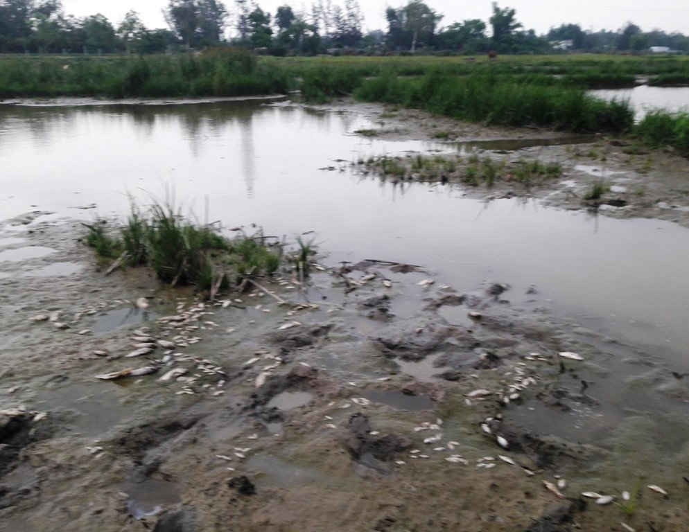 Không chỉ nguồn nước mặt, hiện nay trên địa bàn tỉnh Quảng Nam, nguồn nước ngầm cũng đang đứng trước nguy cơ ô nhiễm trên diện rộng