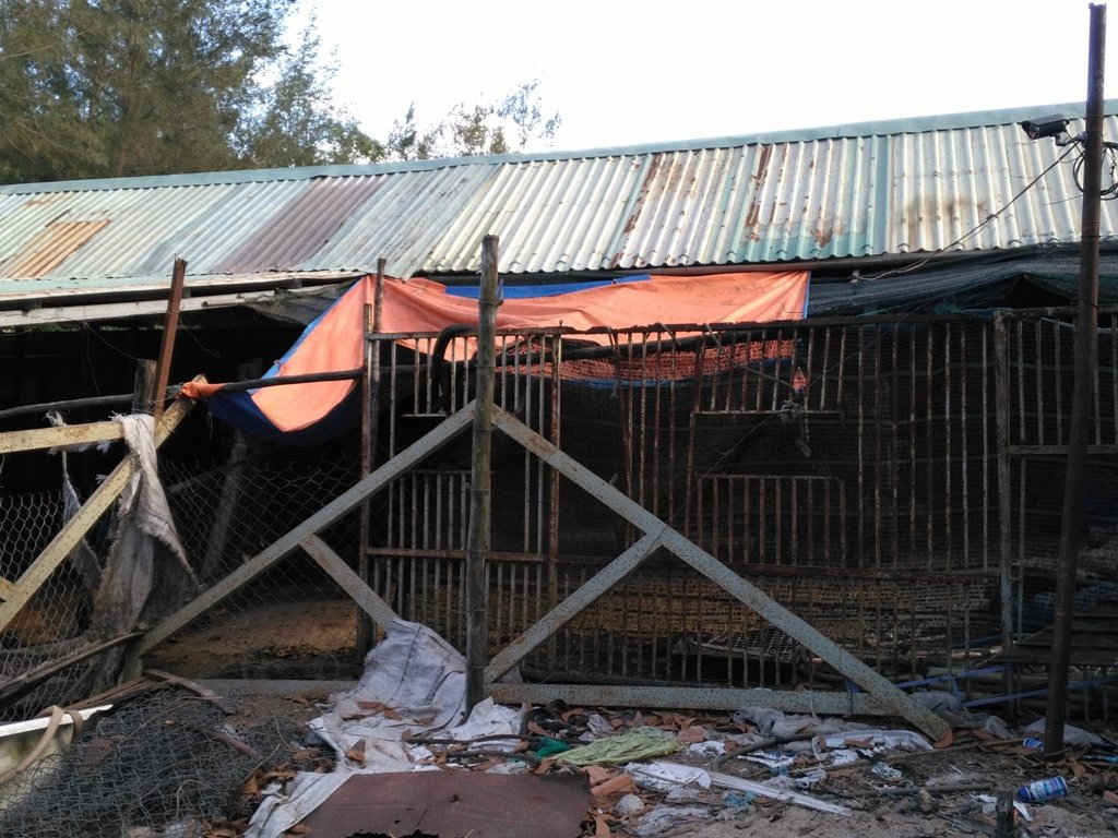 Cơ sở hạ tầng tạm bợ không đủ điều kiện hoạt động giết mổ của bà Lê Thị Trang