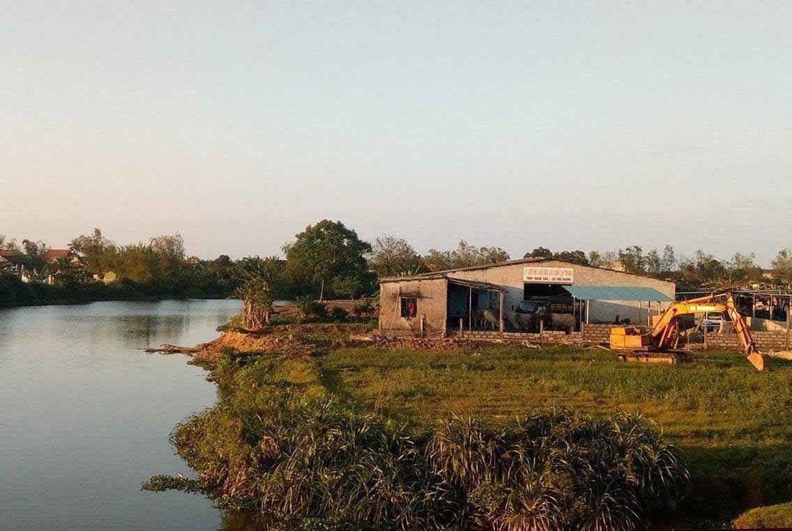 Nhiều cơ sở chăn nuôi tại Thừa Thiên Huế gây ô nhiễm môi trường