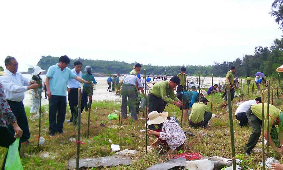 Tuổi trẻ Quảng Ninh tham gia trồng rừng tại VQG Bái Tử Long