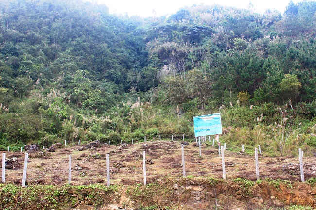 Công tác giao đất, giao rừng, giao đất lâm nghiệp trên địa bàn TP. Lai châu vẫn gặp nhiều khó khăn.