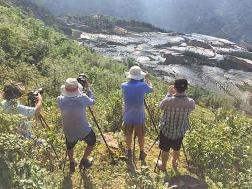 Các tay máy đua nhau chụp ảnh ruộng bậc thang Sa Pa mùa nước đổ