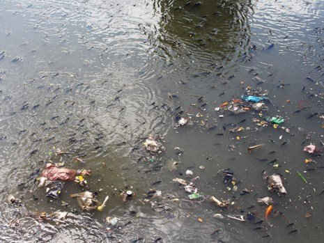 Bên cạnh đó, nhiều rác thải cũng nổi cùng cá ở nhiều điểm trên kênh Nhiêu Lộc - Thị Nghè. 