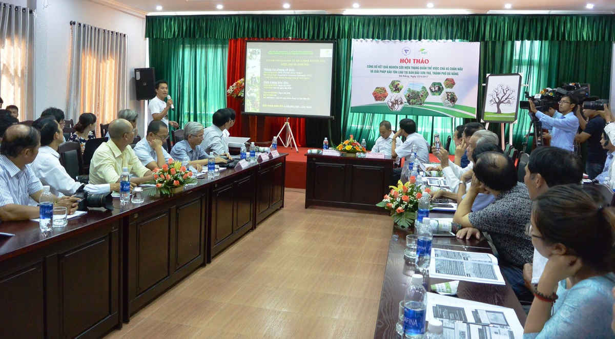 Công bố hiện trạng quần thể Voọc chà vá chân nâu tại bán đảo Sơn Trà