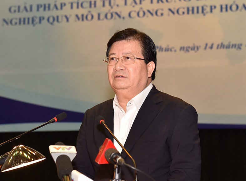 Phó Thủ tướng Trịnh Đình Dũng chỉ đạo cần tập trung, tích tụ đất đai, tái cơ cấu nông nghiệp