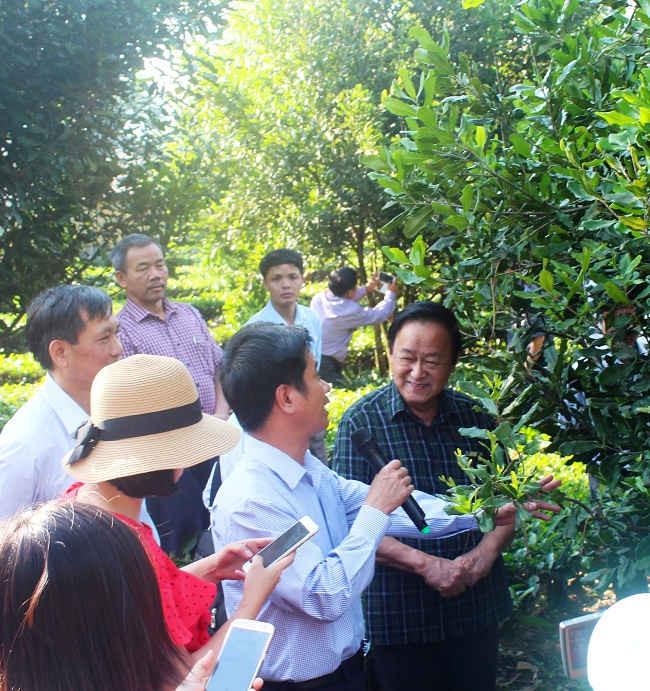 Hiệp hội Mắc Ca Việt Nam khảo sát tình hình phát triển cây Mắc ca tại huyện Tam Đường