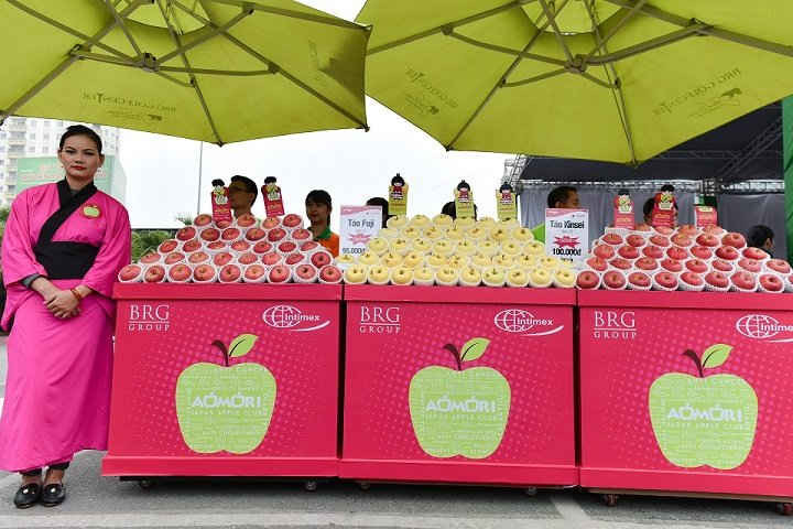 Intimex hiện đang là nhà nhập khẩu uy tín, đem đến những trái táo Nhật Aomori chất lượng cao nhất đến với người tiêu dùng Việt Nam