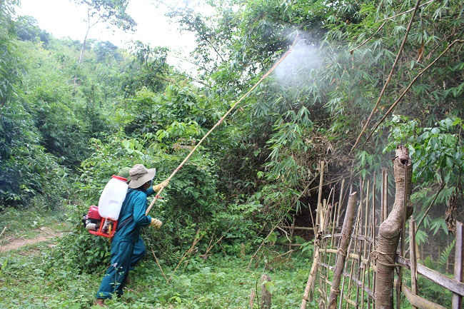 Cán bộ chuyên môn tiến hành phun thuốc phòng trừ châu chấu tre lưng vàng tại xã Mường Nhà, huyện Điện Biên