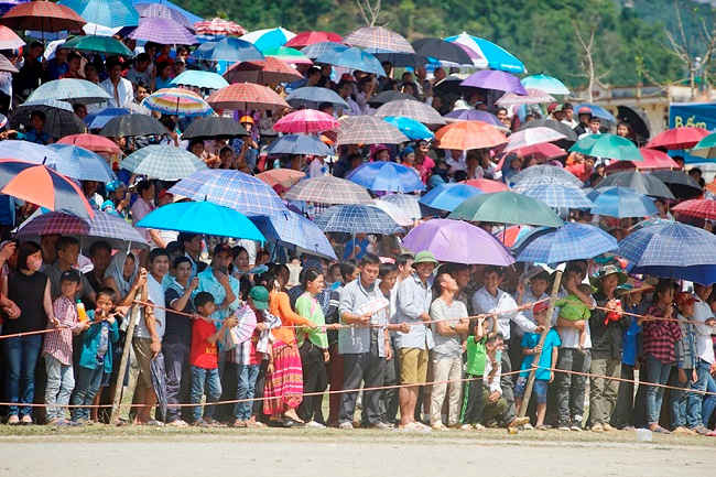 Đông đảo khán giả đã đến cổ vũ cho giải đua ngựa năm 2017.