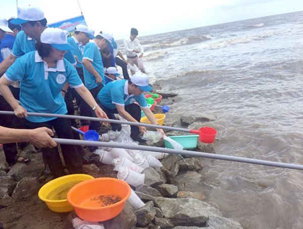 Phó Chủ tịch nước và các đại biểu thả cá giống làm tăng nguồn lợi thủy sản biển Việt Nam