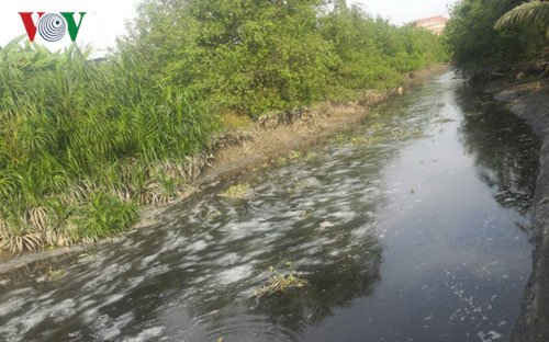 Nước thải màu đen xì, hôi thối từ cụm công nghiệp thôn Chùa, An Hồng, An Dương Hải Phòng thải thẳng ra sông Cấm
