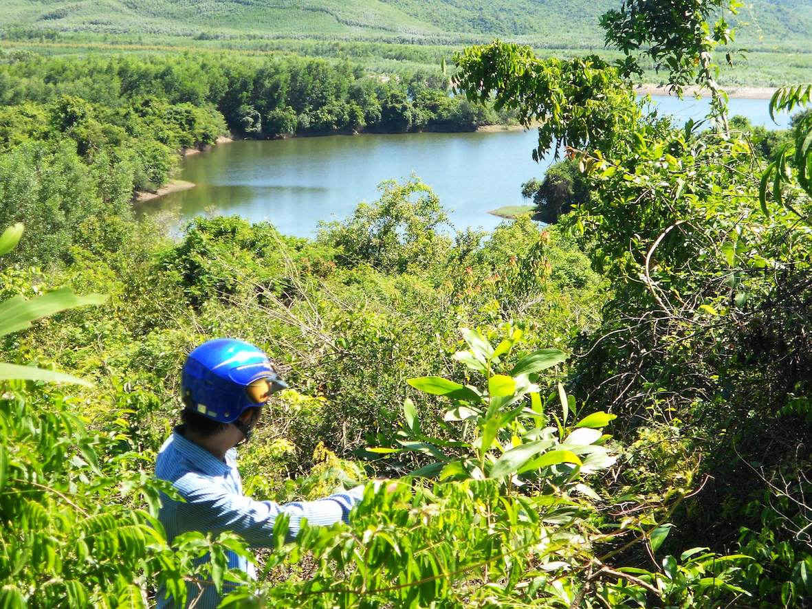Một khoảnh rừng tự nhiên nằm phía Tây Nam hồ Cây Thích bị phá để trồng cây keo lai. 
