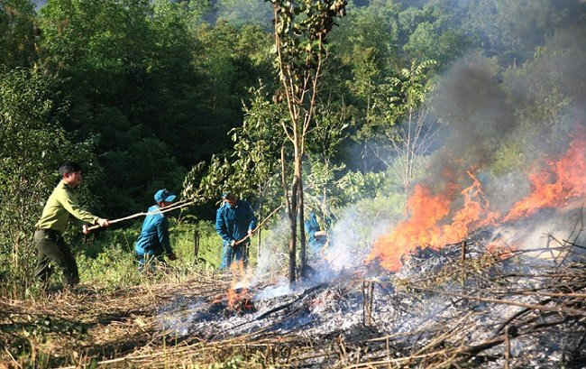 Kiểm lâm Điện Biên diễn tập phòng cháy chữa cháy rừng