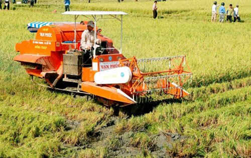 Nông dân Vĩnh Lợi đầu tư nhiều máy móc cơ giới hoá nông nghiệp, mở rộng sản xuất.