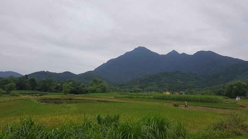 Trang trại đồng quê Ba Vì