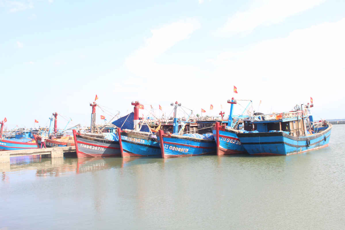 Ngư dân Thừa Thiên Huế rút đơn đăng ký đóng tàu vỏ thép NĐ 67 để đóng tàu vỏ gỗ truyền thống