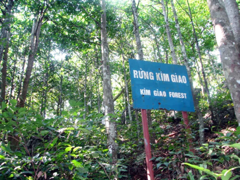 Vườn quốc gia Cát Bà khu rừng nguyên sinh với hàng trăm héc-ta cây gỗ quý như Kim Giao