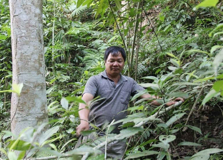 Quyết tâm giữ rừng, sống nhờ rừng của ông Đoàn là mô hình kiểu mẫu về giải pháp quản lý bảo vệ và phát triển kinh tế rừng hiệu quả