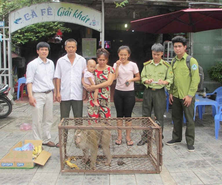 Người dân tỉnh Điện Biên hiến tặng khỉ đuôi lợn cho Vườn quốc gia Hoàng Liên (Sa Pa ) thông qua Hạt kiểm lâm thành phố Điện Biên. Ảnh Vườn quốc gia Hoàng Liên (Sa Pa)