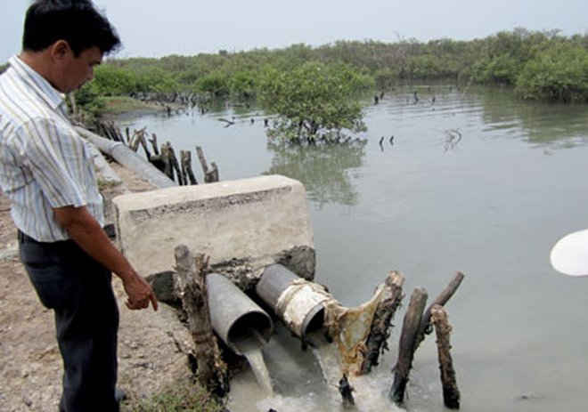 Một đường ống nước xả thải của các doanh nghiệp thủy sản đổ ra sông Cửa Lấp