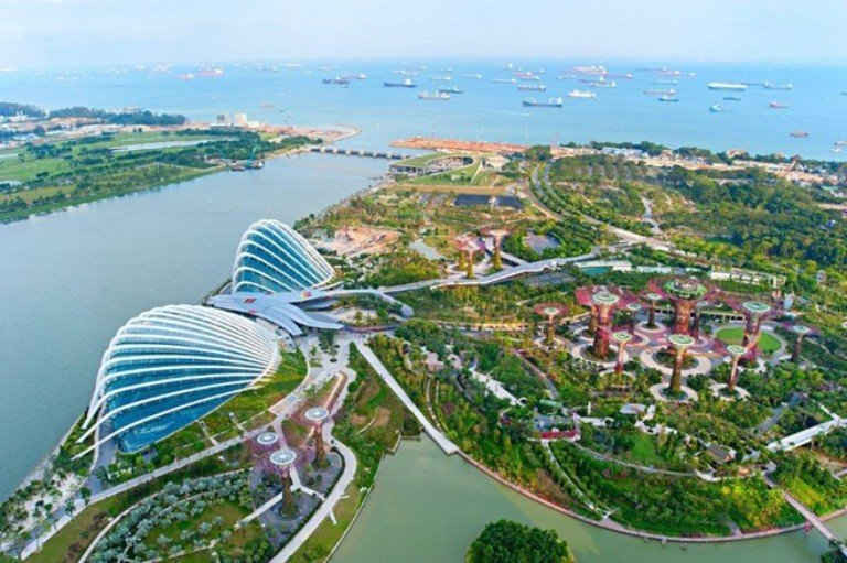 Chỉ trong 10 năm Singapore đã phủ xanh đất nước giúp điều hòa khí hậu.