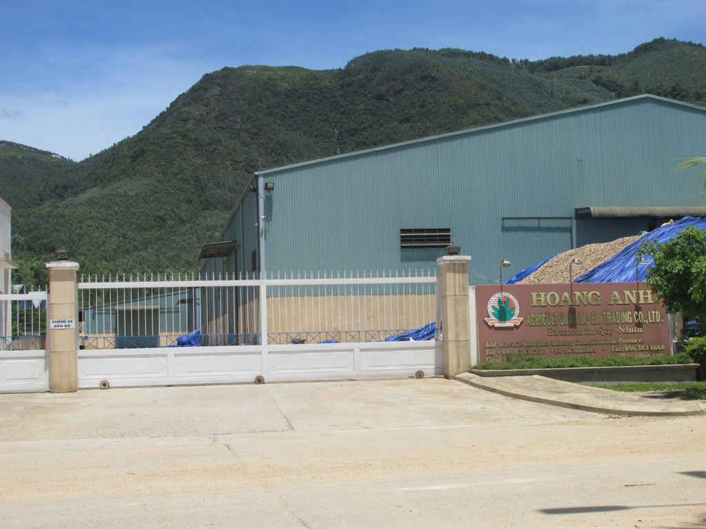 Công ty TM XNK Nông sản Hoàng Anh đang lưu chứa mì lát khối lượng khoảng 10.000 tấn