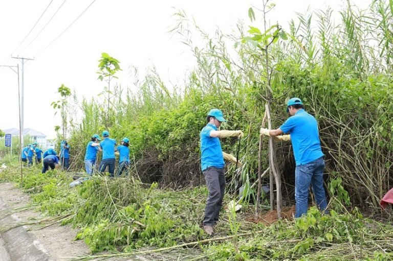 Nhân viên Novaland trồng 100 cây xanh đô thị tại tuyến đường trung tâm Quận Ninh Kiều – Tp.Cần Thơ