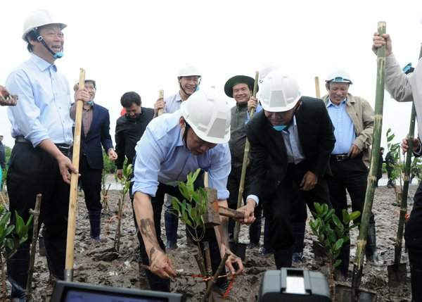 Lãnh đạo Bộ TN&MT tham gia trồng rừng ngập mặn tại Thái Bình