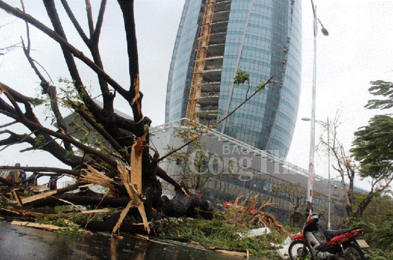 Cơn bão số 11 vào năm 2013 gây thiệt hại nặng nề cho TP. Đà Nẵng và một số tỉnh miền Trung