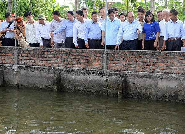 Thủ tướng và Đoàn công tác Chính phủ thăm một mô hình sản xuất nông nghiệp tại xã nông thôn mới Tượng Sơn