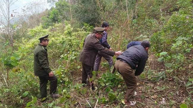 Lực lượng kiểm lâm hướng dẫn người dân phát dọn thực bì làm đường ranh cản lửa và dọn vật liệu cháy.