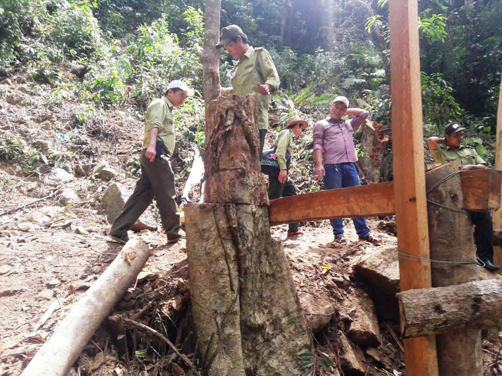 Ông Trần Viết Phương cho rằng rất khó khăn để biết và ngăn chặn tình trạng phá rừng trên toàn địa bàn do gỗ rừng có giá trị rất cao, đặc biệt Đà Nẵng hiện có tới 18.000 ha là rừng giàu