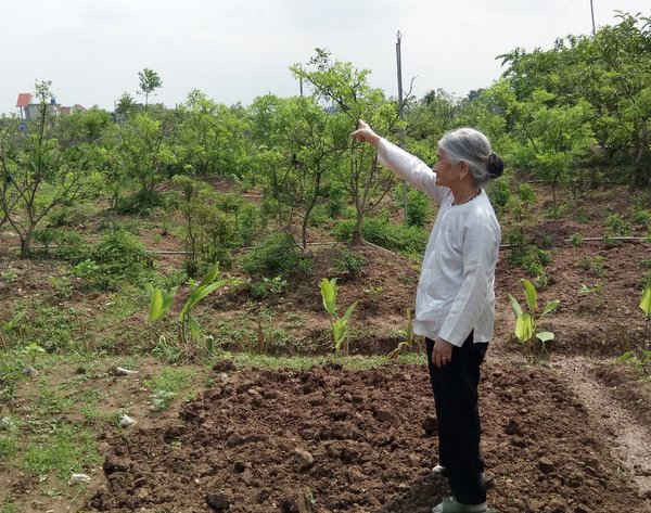 Chính quyền huyện Giao Thủy có vô cảm trước vụ việc của mẹ Việt Nam anh hùng Phạm Thị Liên