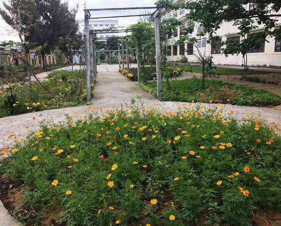 Những khóm hoa nhỏ xinh tạo không gian thoáng đãng phía sau trường Tiều học Nguyễn Duy Trinh
