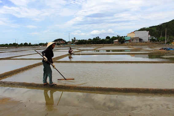 Một hộ diêm dân ở thôn Đức Phổ 1, xã Cát Minh (huyện Phù Cát) đang nỗ lực cải tạo lại ruộng muối để kịp sản xuất sau các đợt mưa trái mùa.