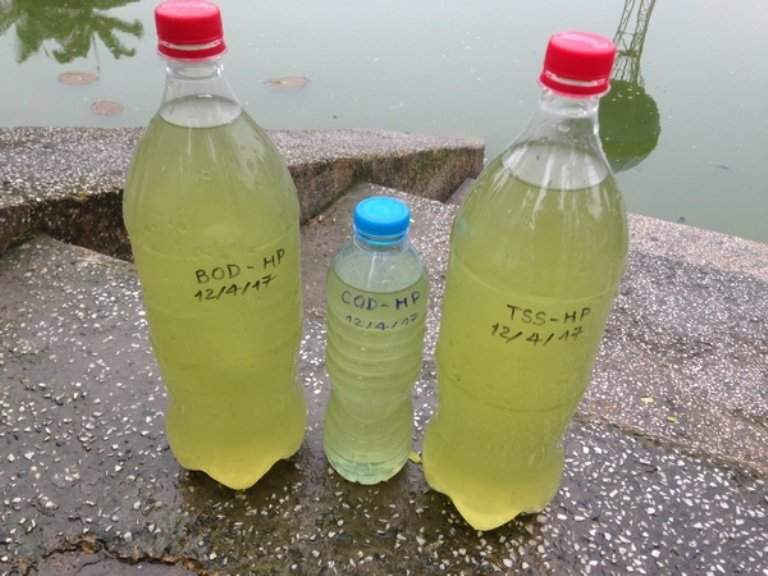 Hình ảnh nước hồ Hạnh Phúc trước khi xử lý bằng công nghệ thiên nhiên Bakture (nước được đóng vào chai)