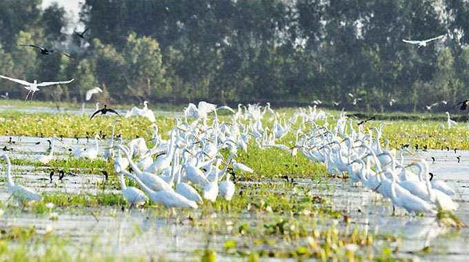 Nhiều khu bảo tồn thiên nhiên đã được thành lập mới tại Việt Nam