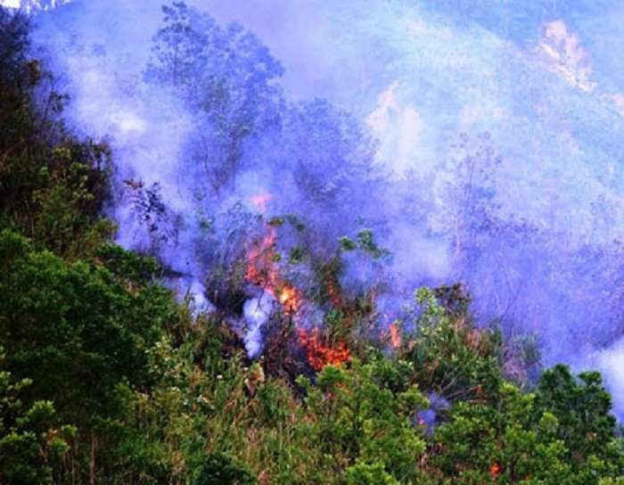Một vụ cháy rừng ở Quảng Nam. (Ảnh minh họa)