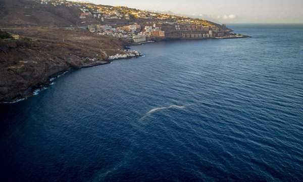 Một điểm trên bề mặt biển do tảo nhỏ gây ra gần bãi biển Tabaiba, ngoài khơi El Rosario trên đảo Canary, Tây Ban Nha. Ảnh: Desiree Martin / AFP / Getty Images