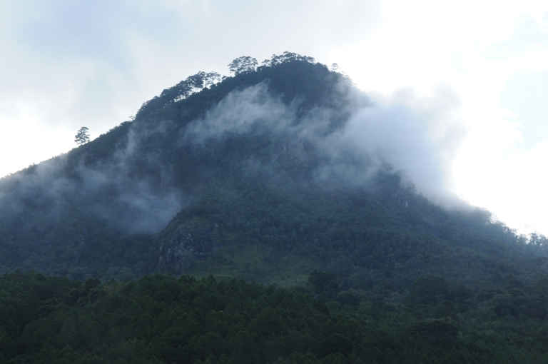 Đỉnh núi Voi vào những lúc mây khói phủ.