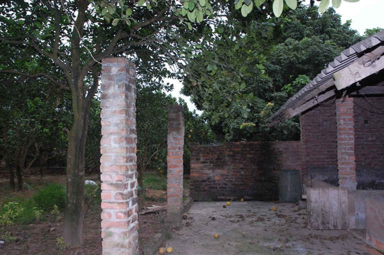 Một hộ gia đình thôn Đông Lao có đất bị dồn thửa, dồn sai