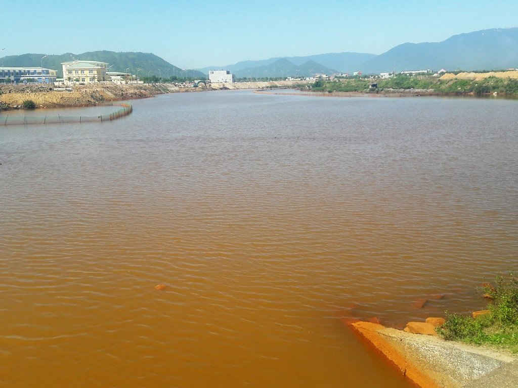 Nhiều người dân tại tổ 70, 72 phường Hòa Hiệp Nam nghi ngại do nước thải tại khu công nghiệp gây ra