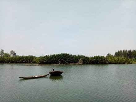   DN-EBR và GreenViet nhận định rừng dừa nước Bình Phước là 1 hệ sinh thái đặc biệt, cần phải được giữ gìn.