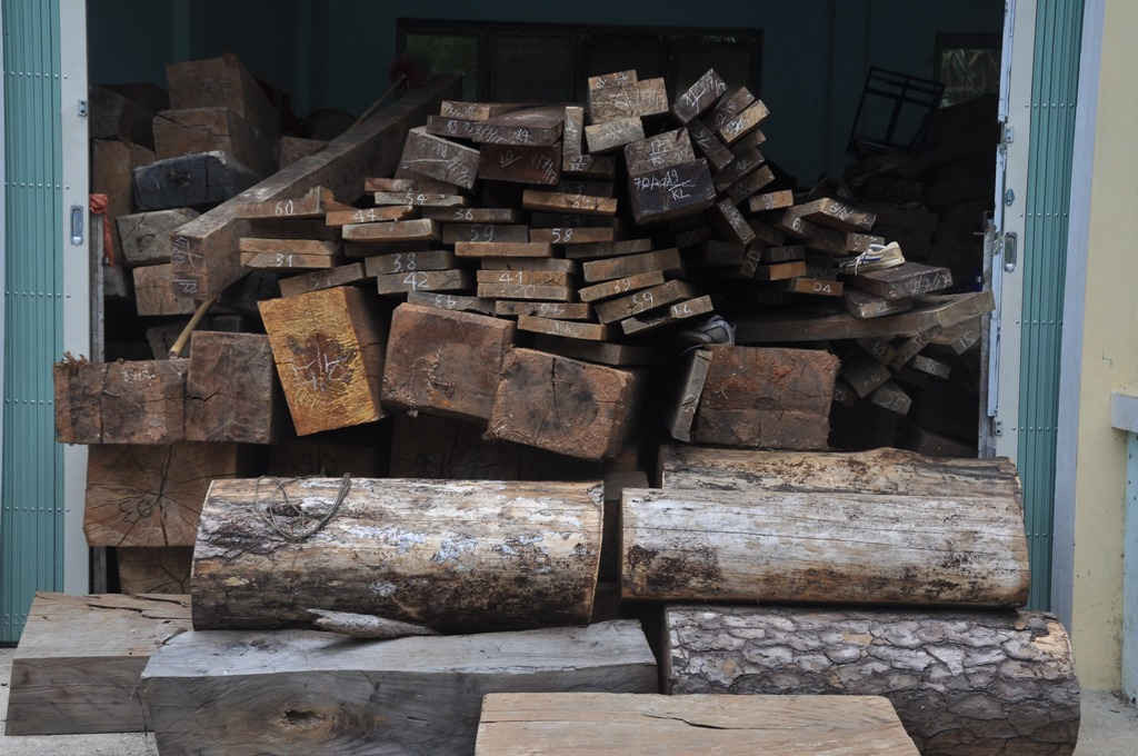 Gỗ tròn và gỗ xẻ các loại tại Hạt KL Đăk Glei