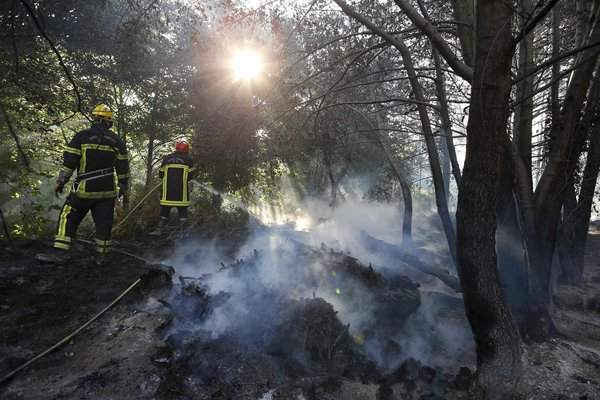 Lính cứu hỏa đang nỗ lực dập tắt lửa rừng ở Pietracorbara, Corsica. Ảnh: Pascal Pochard-Casabianca/AFP/Getty Images