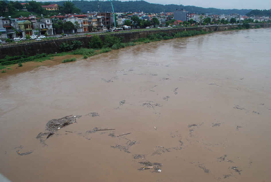 Lũ lớn trên sông Hồng đang đổ  thành phố Lào Cai cuốn theo nhiều rác củi. Ảnh chụp hồi 12 giờ ngày 17/8/2017.  