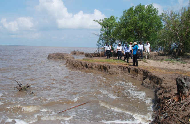 Tình trạng sạt lở bờ biển tại Cà Mau ngày càng nghiêm trọng